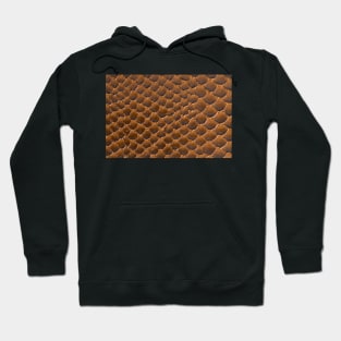 Brown snake skin background Hoodie